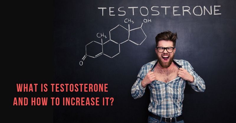 What is Testosterone and How to Increase It